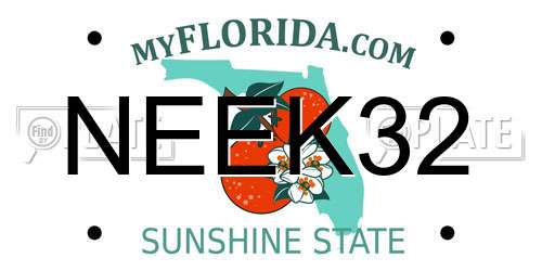 NEEK32 Florida License Plate