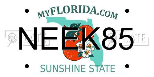 NEEK85 Florida License Plate