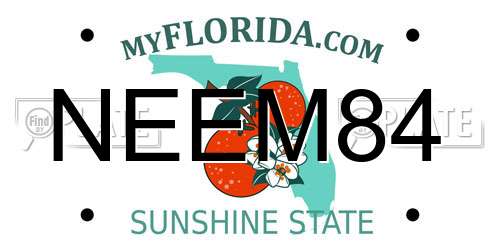 NEEM84 Florida License Plate