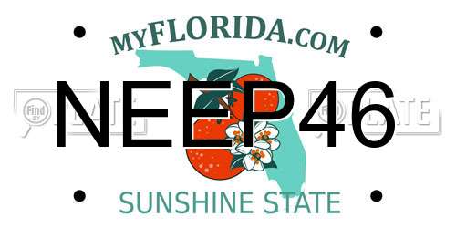 NEEP46 Florida License Plate
