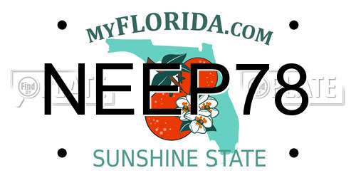NEEP78 Florida License Plate