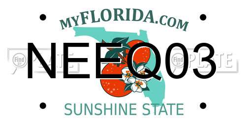 NEEQ03 Florida License Plate