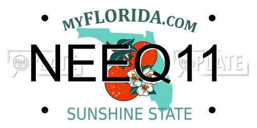 NEEQ11 Florida License Plate