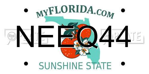 NEEQ44 Florida License Plate