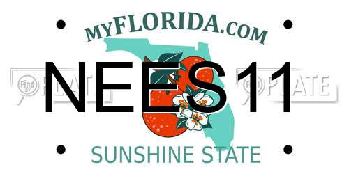 NEES11 Florida License Plate