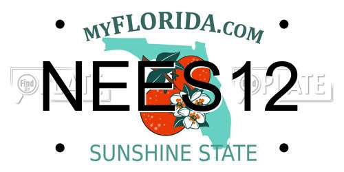 NEES12 Florida License Plate