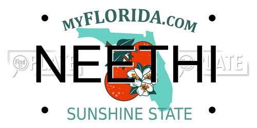 NEETHI Florida License Plate