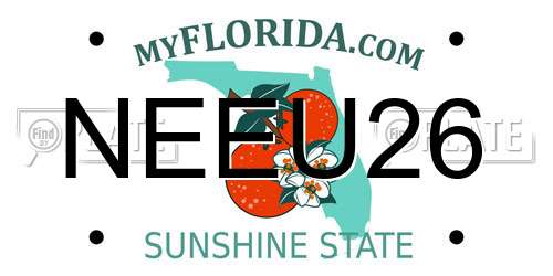 NEEU26 Florida License Plate