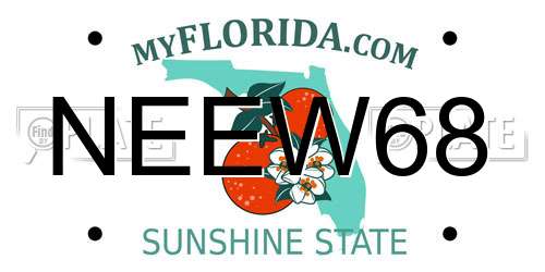 NEEW68 Florida License Plate