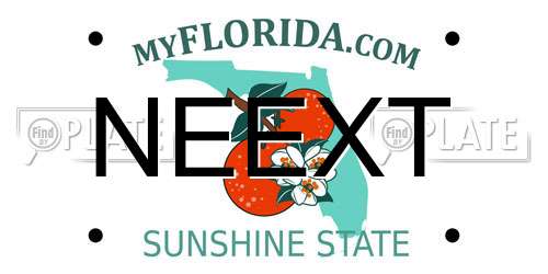 NEEXT Florida License Plate