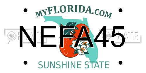 NEFA45 Florida License Plate