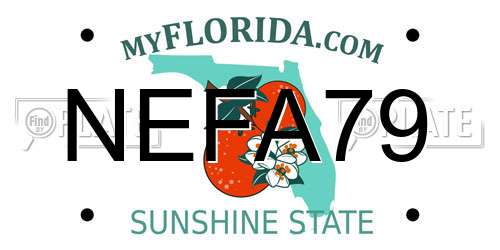 NEFA79 Florida License Plate