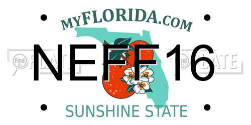 NEFF16 Florida License Plate