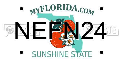 NEFN24 Florida License Plate