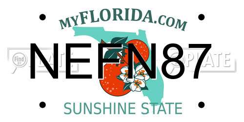 NEFN87 Florida License Plate