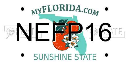 NEFP16 Florida License Plate