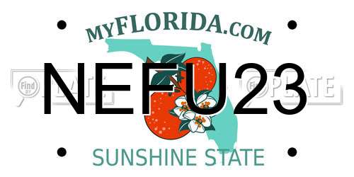 NEFU23 Florida License Plate
