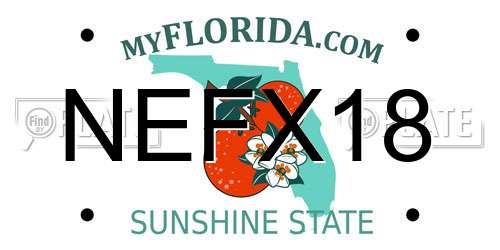 NEFX18 Florida License Plate