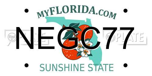 NEGC77 Florida License Plate
