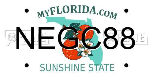 NEGC88 Florida License Plate