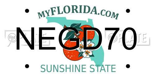 NEGD70 Florida License Plate