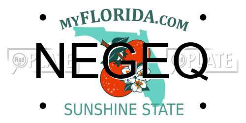 NEGEQ Florida License Plate