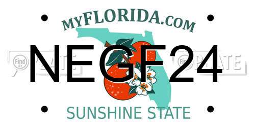 NEGF24 Florida License Plate