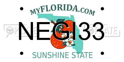NEGI33 Florida License Plate