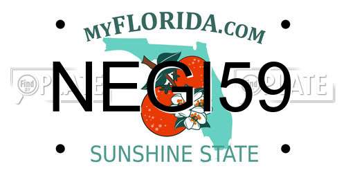 NEGI59 Florida License Plate