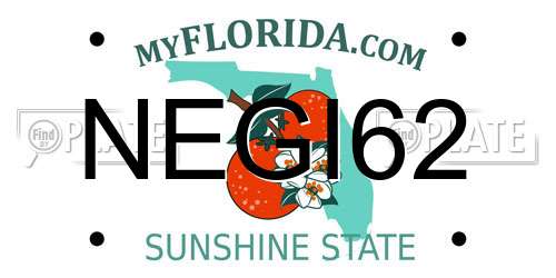 NEGI62 Florida License Plate