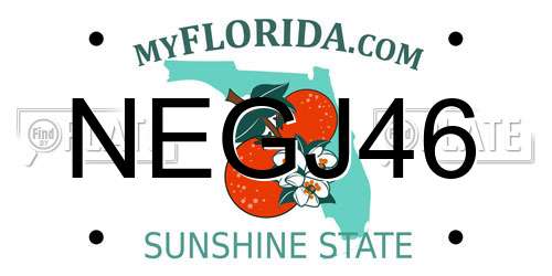 NEGJ46 Florida License Plate