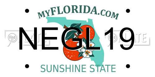 NEGL19 Florida License Plate