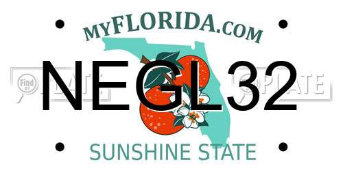 NEGL32 Florida License Plate
