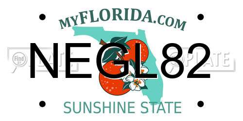 NEGL82 Florida License Plate