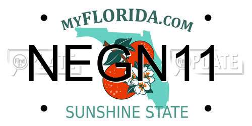 NEGN11 Florida License Plate