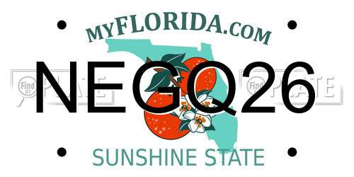 NEGQ26 Florida License Plate
