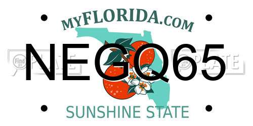 NEGQ65 Florida License Plate