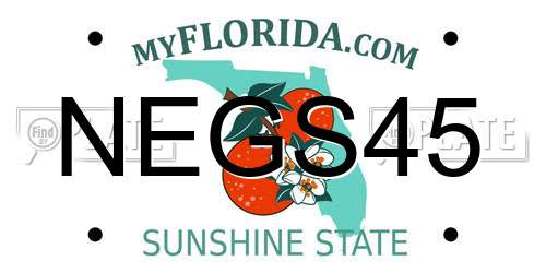 NEGS45 Florida License Plate