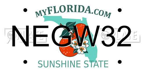 NEGW32 Florida License Plate