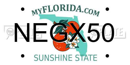 NEGX50 Florida License Plate