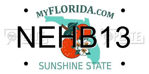 NEHB13 Florida License Plate