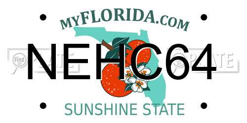 NEHC64 Florida License Plate