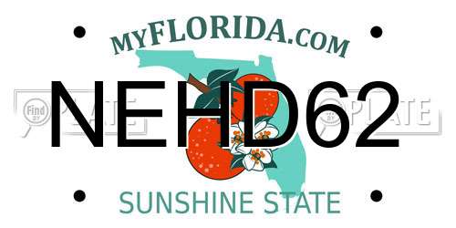 NEHD62 Florida License Plate