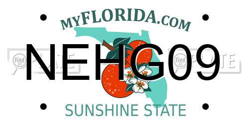 NEHG09 Florida License Plate