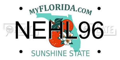 NEHL96 Florida License Plate
