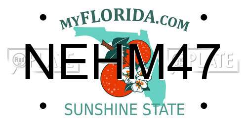NEHM47 Florida License Plate