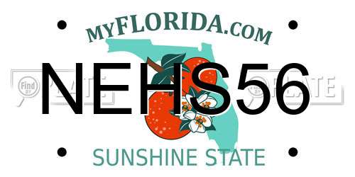 NEHS56 Florida License Plate