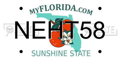 NEHT58 Florida License Plate