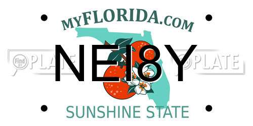 NEI8Y Florida License Plate