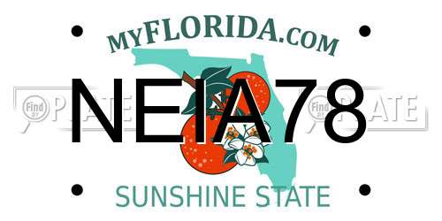 NEIA78 Florida License Plate